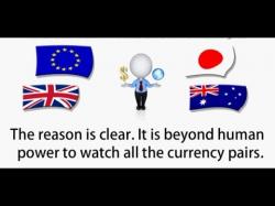 Binary Option Tutorials - forex trendy Best Currency Traders - Forex Trend
