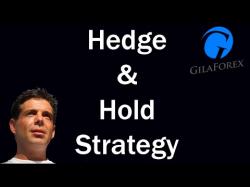 Binary Option Tutorials - 365 Trading Strategy Hedge and Hold Forex Trading Strate