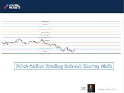 Binary Option Tutorials - trading school Price Action Trading  School: Murre