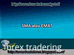 belajar trading option gratis