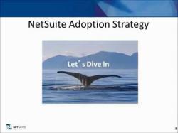 Binary Option Tutorials - AAoption Strategy Netsuite Adoption Strategy