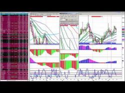 Binary Option Tutorials - trading champion Second Day Added: Don’t Miss Live T
