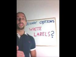 Binary Option Tutorials - binary options dragon What are White Label Binary Option 