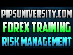 Binary Option Tutorials - forex risk Forex Trading For Beginners - Risk 