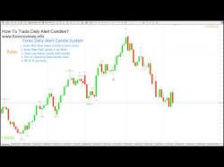Binary Option Tutorials - trading daily How to Trade Daily Alert Candles in