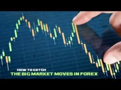 Binary Option Tutorials - 365 Trading Video Course Price Action Trading:10XROI Forex T