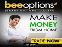 Binary Option Tutorials - Bee Options Strategy How to make money at home from BeeO