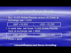 Binary Option Tutorials - forex investor Guide to Forex Investing for Beginn