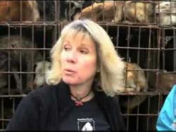 Binary Option Tutorials - trader helps Animals Asia helps save 149 dogs fr