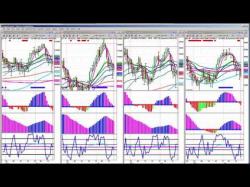 Binary Option Tutorials - trading walk Rob Is Going To Personally Walk You