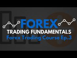Binary Option Tutorials - forex fundamentals Forex Trading Fundamentals- Forex T