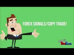 Binary Option Tutorials - trading copy profitable forex signals.....copy t