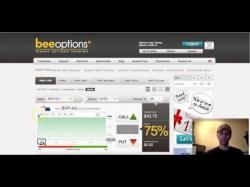 Binary Option Tutorials - Bee Options Review BeeOptions Binary Trading Broker Re