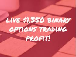 Binary Option Tutorials - Bee Options LIVE $1,350 Binary Options Profit!!