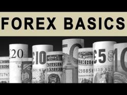 Binary Option Tutorials - forex basics FOREX trading basics: A fun & easy 