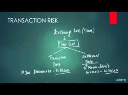 Binary Option Tutorials - forex basics Transaction risk