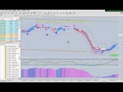 Binary Option Tutorials - TrendOption Video Course Cynthia's Color Coded Trend Trading