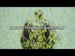 Binary Option Tutorials - trading performance Indicators Performance Quality Trad