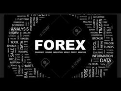 Binary Option Tutorials - forex trader 20 things you need to know to be a 
