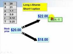 Binary Option Tutorials - binary options price Binomial (one step) for option pric