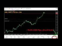 Binary Option Tutorials - trading tanpa Trading Forex Tanpa Indikator (no I