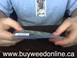 Binary Option Tutorials - trading marijuana Heavy trading in Canadian marijuana
