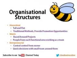 Binary Option Tutorials - Bee Options Video Course Bee Business Bee Organisational Str