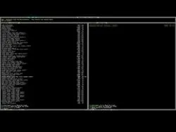 Binary Option Tutorials - trading basics Dwarf Fortress Caravan basics
