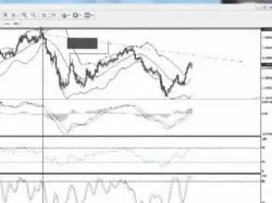 Binary Option Tutorials - trader forex Trading Binary Options 2014   How t
