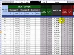 Binary Option Tutorials - trading record Trading Journal - What is the Minim