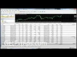 Binary Option Tutorials - trading solutions Win Forex Trading strategies