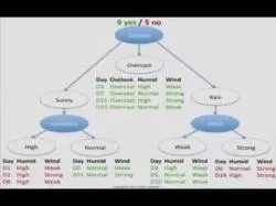 Binary Option Tutorials - Binary Book Video Course Decision Tree 1: how it works