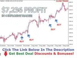 Binary Option Tutorials - GetBinary Review Get Binary Profit Machine +++ 50% O
