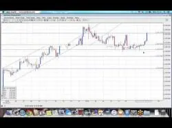 Binary Option Tutorials - GOptions Video Course GOptions - Prepare Your trading Set