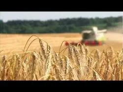 Binary Option Tutorials - IKKO Trader Video Course Helping the World Grow the Food It 