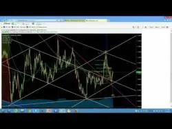 Binary Option Tutorials - trader interview Forex Live Analysis Room show 629 +