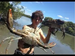 Binary Option Tutorials - Tradarea Video Course EP 3 - HUGE MUDCRABS Caught BAREHAN