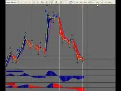Binary Option Tutorials - forex education 7 Basic Forex Rules for Beginners, 