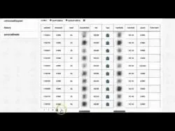 Binary Option Tutorials - binary options more Redwood Binary Options Reviews â�‰ 