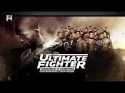 Binary Option Tutorials - 24Winner Video Course TUF 24 Finale Preview: Johnson vs. 