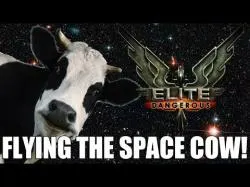 Binary Option Tutorials - trading heavy Elite: Dangerous - Type-9 Trading |