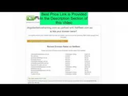 Binary Option Tutorials - trading training Best Offer Listed on Dogploma - Dog