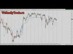 Binary Option Tutorials - forex mentorship Millionaire Forex Trader Shares Sec