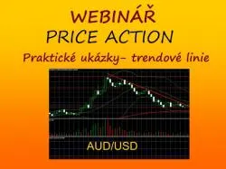Binary Option Tutorials - WinnerOptions Video Course AUDUSD - webinář cztrader - swingov