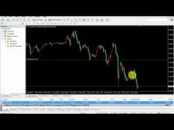 Binary Option Tutorials - trading tanpa trading tanpa loss dengan Scripts L
