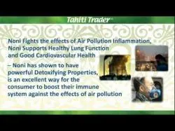 Binary Option Tutorials - trader best Noni Health Benefit   Tahiti Trader