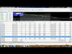 Binary Option Tutorials - forex robot Forex Live Account increase 300% in