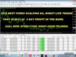 Binary Option Tutorials - trading sharing 2016 best forex scalper ea live tra