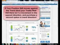 Binary Option Tutorials - Bee Options Strategy TradeQuicker   Binary Options Swing