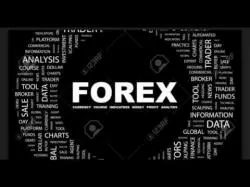 Binary Option Tutorials - forex trader 20 things you need to know to be a 